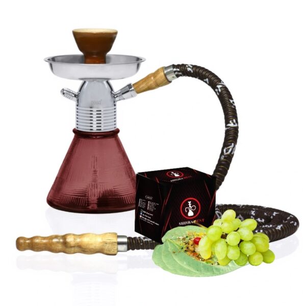SR Regular Hookah Base for Rent | Grapes Rasna