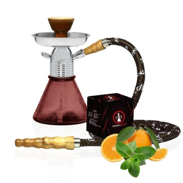 SR Regular Hookah Base for Rent – Orange Mint | Shisha Rent