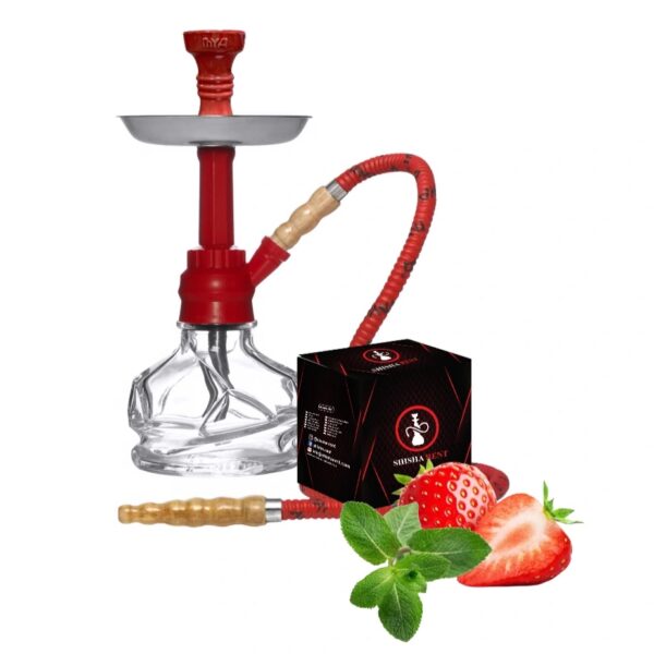 SR Regular Hookah Base for Rent – Strawberry