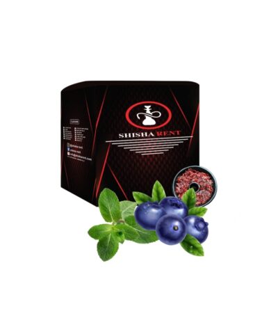 regular-bowl-chilam-bowl-blueberry-mint-hookah-chilam-rent-services-shisha-rent